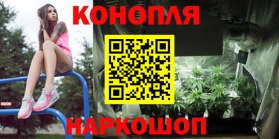 крисы Славянск-на-Кубани