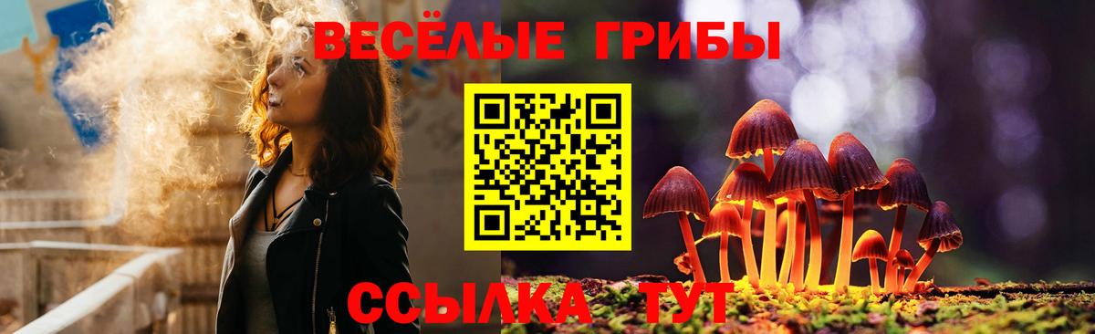 Галлюциногенные грибы Cubensis Сарапул
